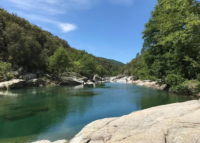 Chambre d'hôte Lavande - Le soleil des Cévennes